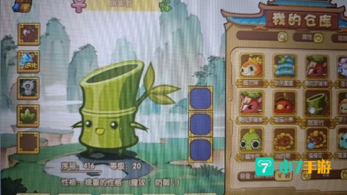 洛克王国斑斑竹