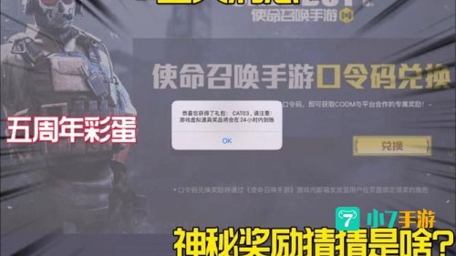 使命召唤手游口令码